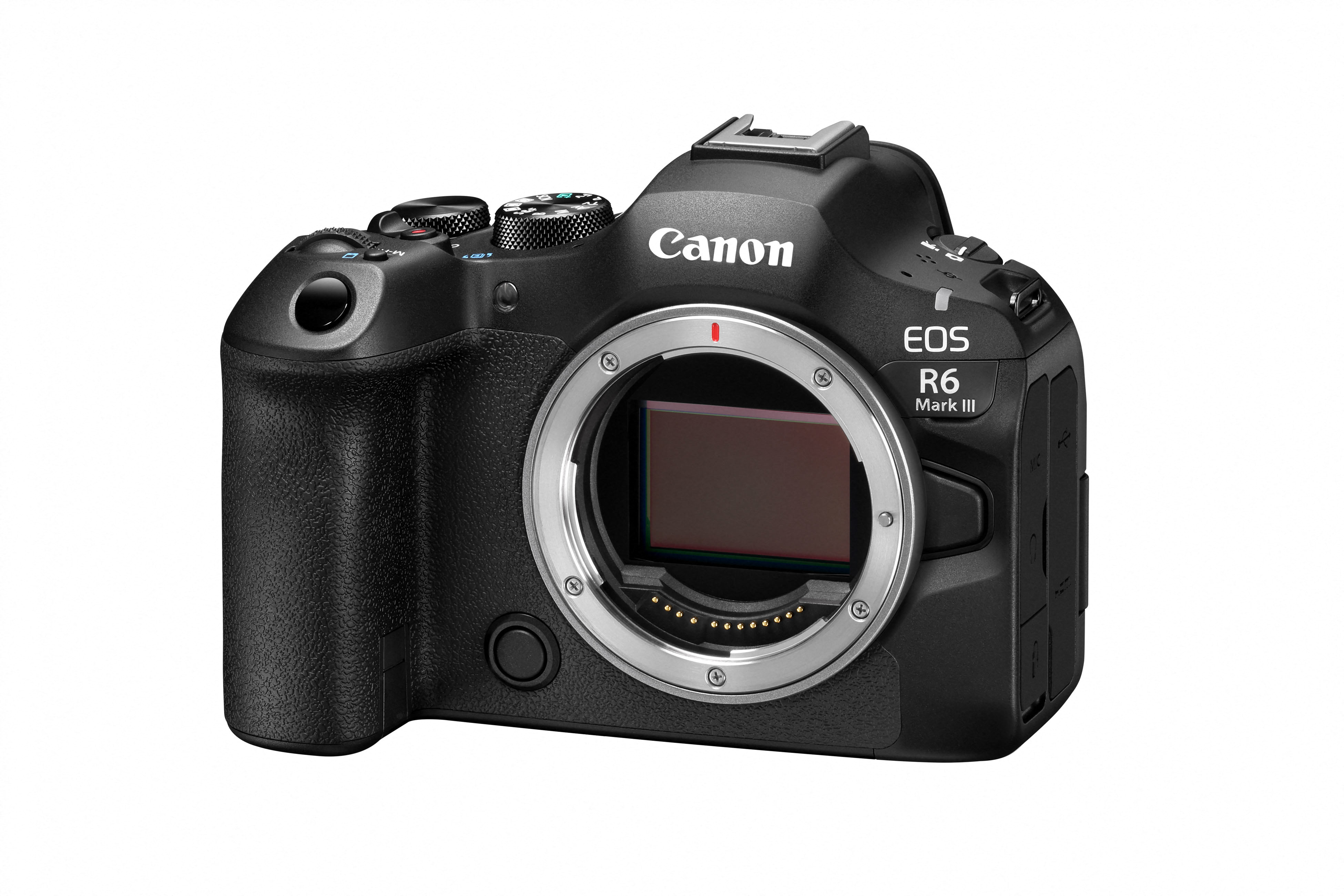 Canon EOS R6 III + RF 24-105mm f/4.0L IS USM