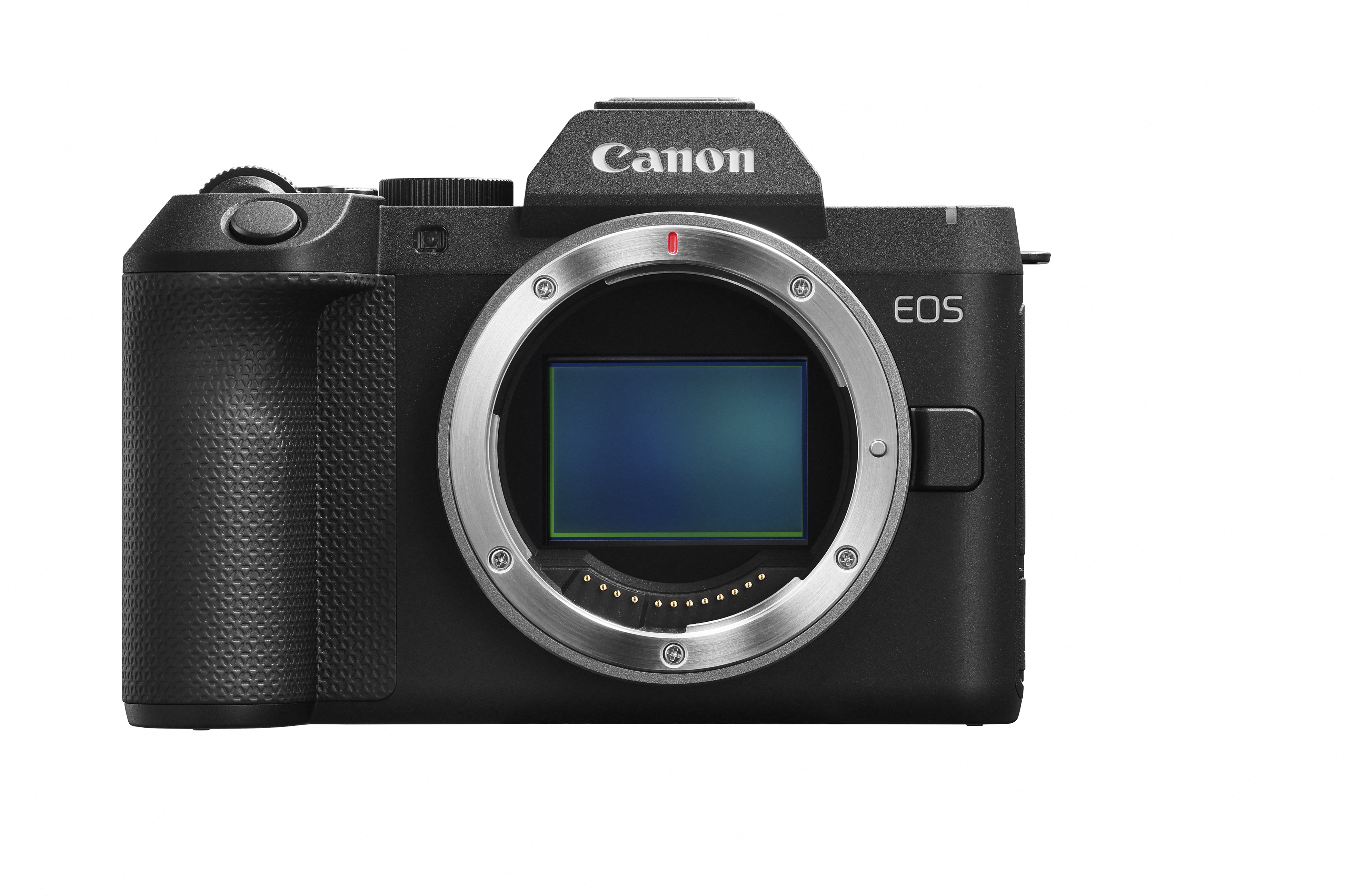 Canon EOS R8 Mark II + RF 24-105mm F4-7.1 IS STM