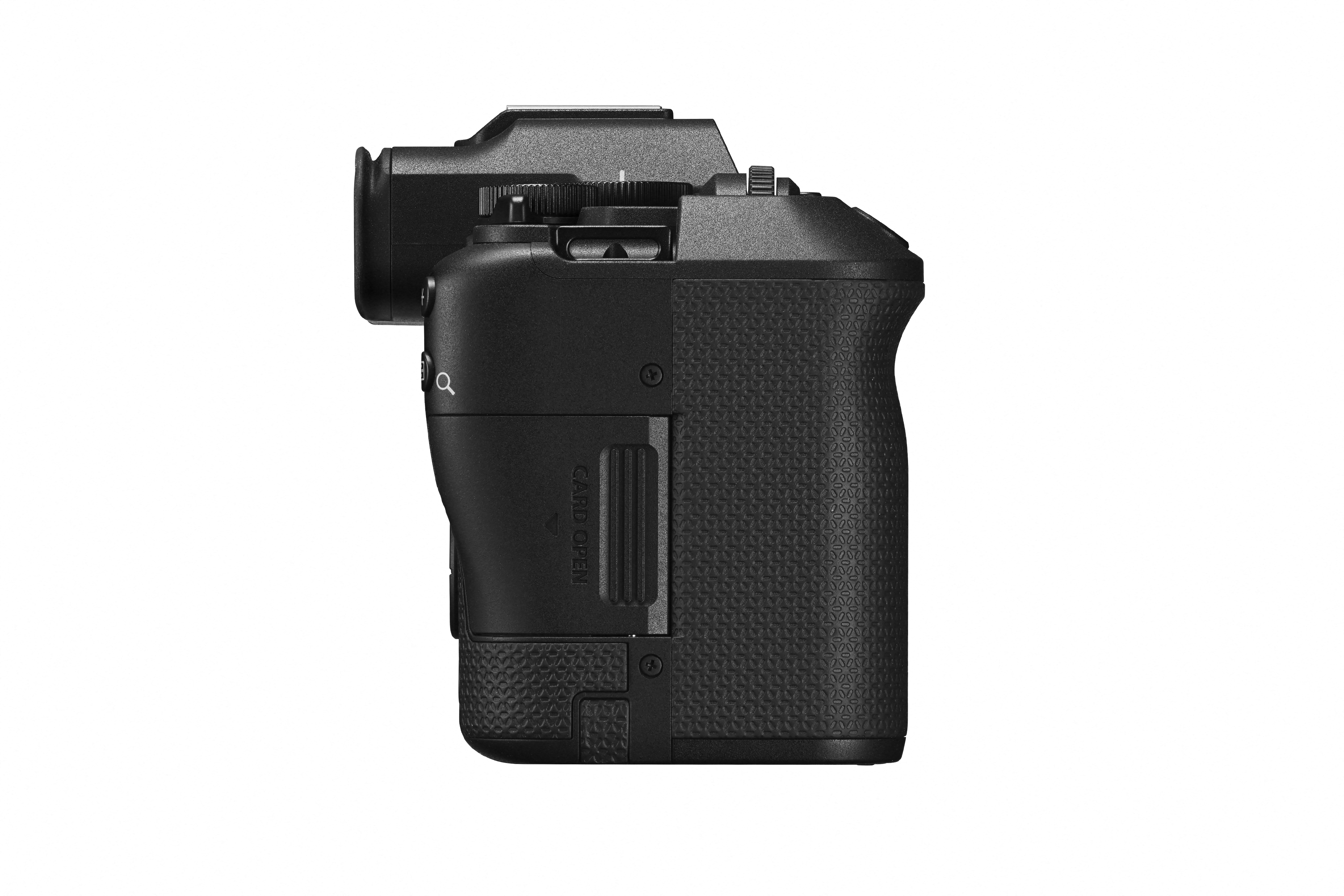 Canon EOS R8 Mark II + RF 24-105mm F4-7.1 IS STM