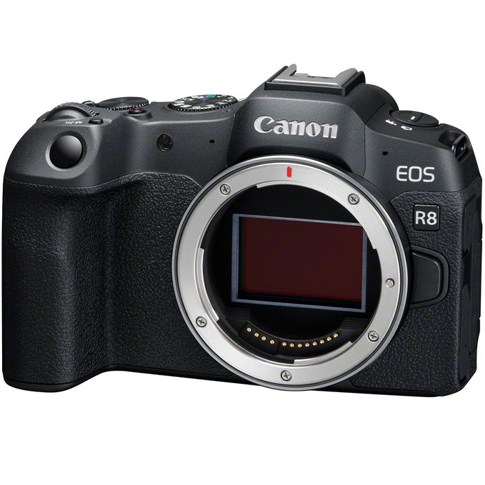 Canon EOS R8 + RF 4,5-6,3 /24-50 mm IS STM
